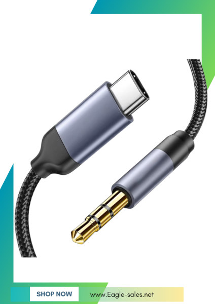 Picture of AUX Cable Lightning