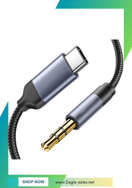 Picture of AUX Cable Type-C