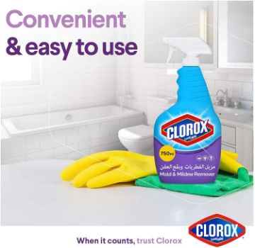 صورة كرتون كلوركس بخاخ 750مل مزيل الفطريات 12 حبه