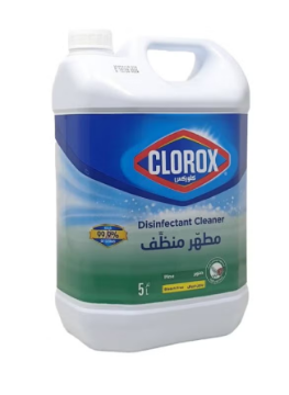 صورة كرتون مطهر كلوركس 5لتر صنوبر 3 حبه